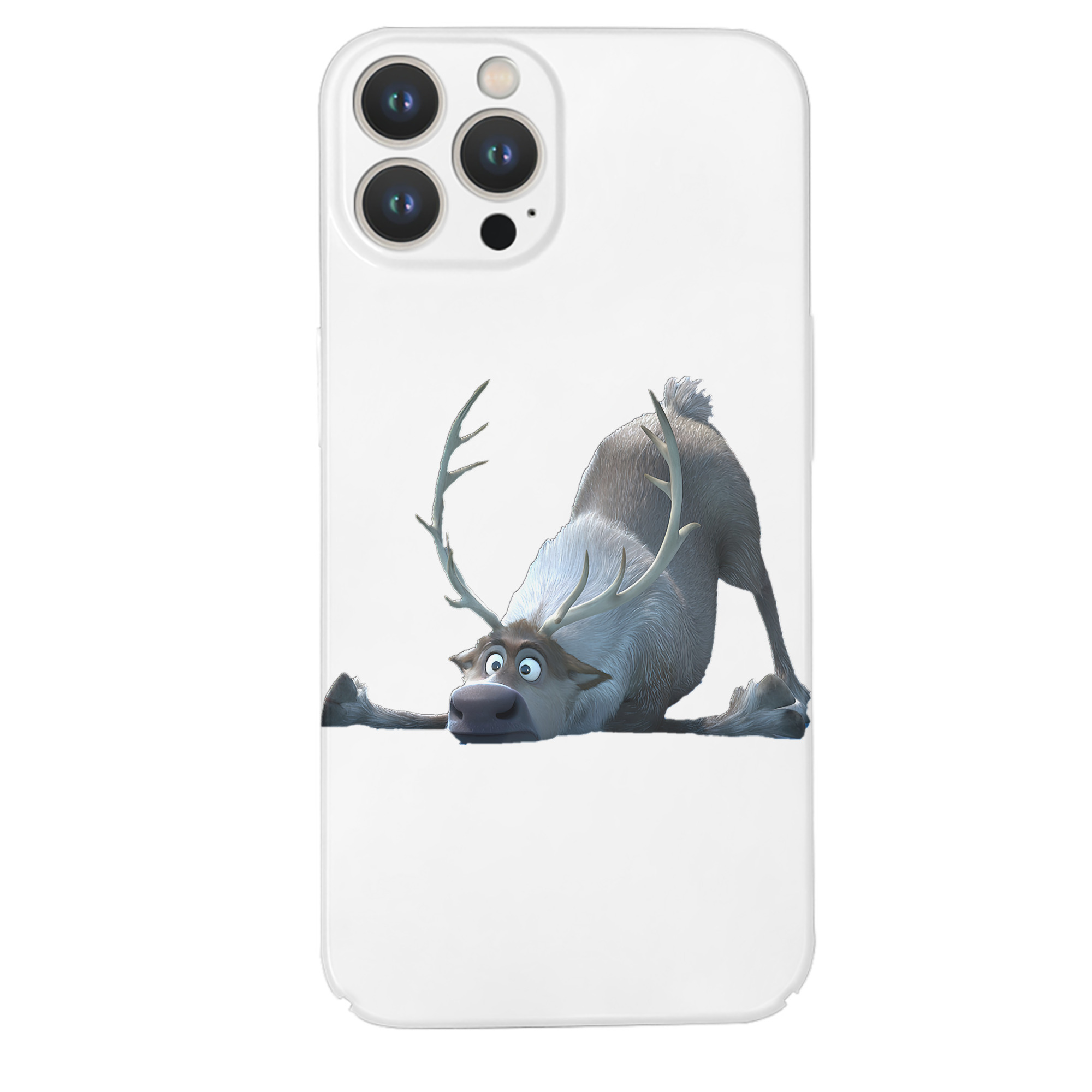 （画像用） アナと雪の女王 アンナ エルサ Frozen Anna Elsa 【iPhone 14シリーズ対応】ハードケース